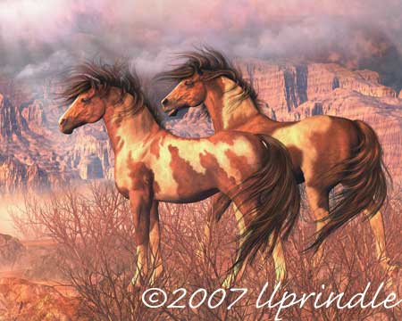 Fine  on Fine Art Horse Prints By Cwrw  After The Storm