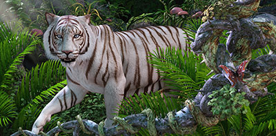 White Tiger Stalk